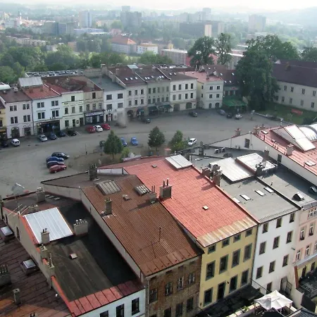 V Centru Frydku-mistku Apartment Frydek-Mistek